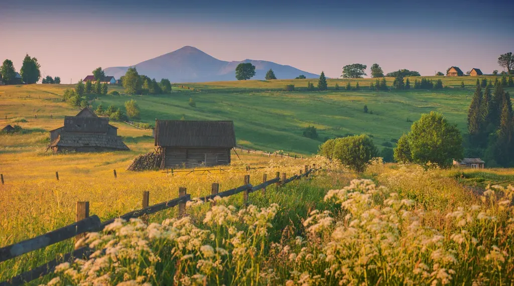 Ile kosztuje projekt ogrodu? 